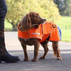 Reflecterende hondenjas voor zichtbaarheid – paardensport