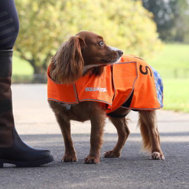 Reflecterende hondenjas voor zichtbaarheid – paardensport