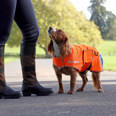 Manteau chien haute visibilité équitation Shires Equi-Flector Manteau chien haute visibilité équitation Shires Equi-Flector
