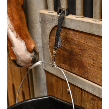 Support fonctionnel pour seau pierre à lécher & jouet pour chevaux Waldhausen