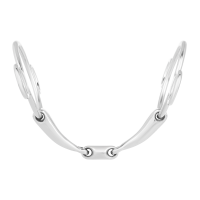 Mors Pessoa brisure double Waldhausen Mors Pessoa brisure double Waldhausen