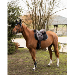 Kort oornetje Atlas GEM Equitation Zwart Kort oornetje Atlas GEM Equitation Zwart