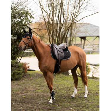 Kort oornetje Atlas GEM Equitation Zwart Kort oornetje Atlas GEM Equitation Zwart