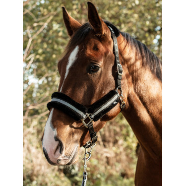Mountain Horse Halster