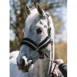 Licol Mountain Horse
