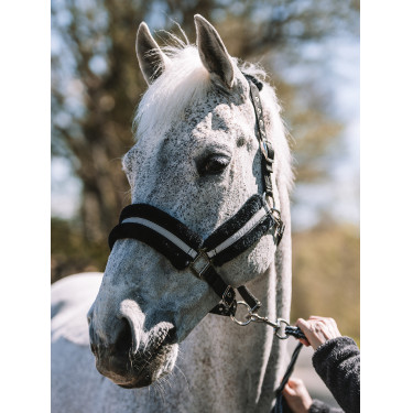 Licol Mountain Horse