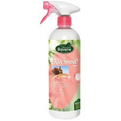 Easy Shine lustrant Ravene