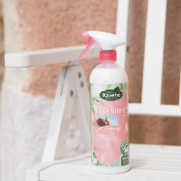 Easy Shine lustrant Ravene Easy Shine lustrant Ravene