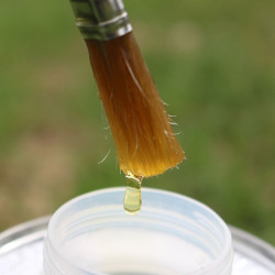 Pediflex Ravene Pediflex Ravene