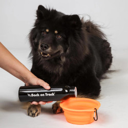 Gamelle pour chien Gamelle pour chien