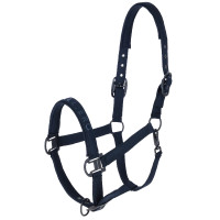 Licol AH26 Covalliero