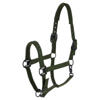 Licol AH26 Covalliero Vert forêt