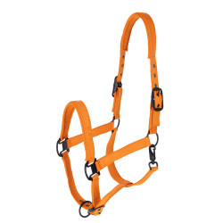 Covalliero Halster AW26 Oranje