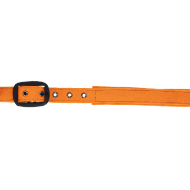 Licol AH26 Covalliero Orange