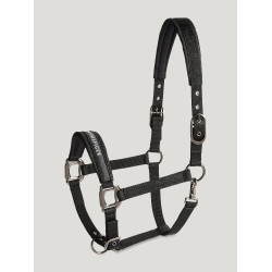 Licol et longe Yale Shine Tommy Hilfiger Equestrian