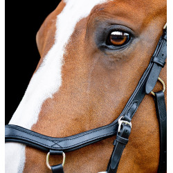 Anatomisch wedstrijdhoofdstel voor paarden Anatomisch wedstrijdhoofdstel voor paarden