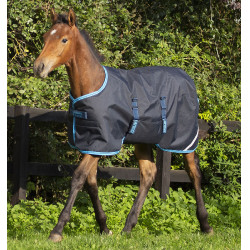 Couverture poulain Horseware Amigo Ripstop 200g Couverture poulain Horseware Amigo Ripstop 200g