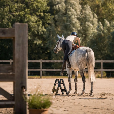 Opvouwbare opstap 60 cm zwart – paardrijden | EQUI-CLIC