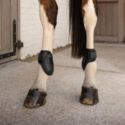 Kogelbeschermers voor jonge paarden bruin L | Equi-Clic Kogelbeschermers voor jonge paarden bruin L | Equi-Clic