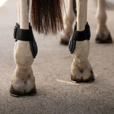 Kogelbeschermers voor jonge paarden bruin L | Equi-Clic Kogelbeschermers voor jonge paarden bruin L | Equi-Clic