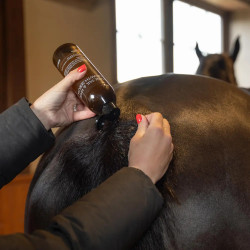 Paarden manen- & staartgroeiserum 500 ml | Equi-Clic