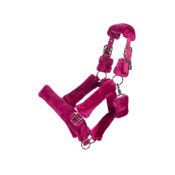 Licol Comfort HKM