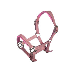 Licol en cuir Pink Hobby Horsing HKM