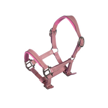 Licol en cuir Pink Hobby Horsing HKM