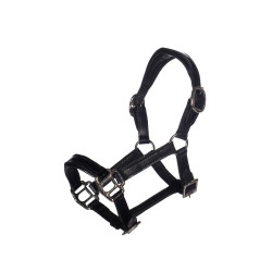 Licol en cuir Verni Hobby Horsing HKM