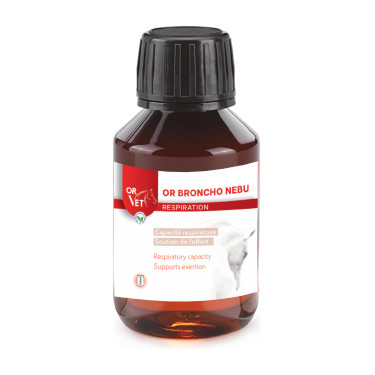 Solution de nébulisation respiratoire cheval Or Vet