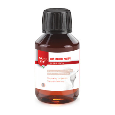 Solution de nébulisation équine – Confort respiratoire Solution de nébulisation équine – Confort respiratoire