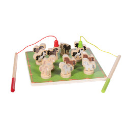Weide voor paarden HKM Weide voor paarden HKM