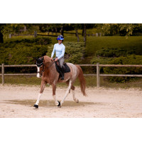 Oorkap K van Equithème K-VEGA