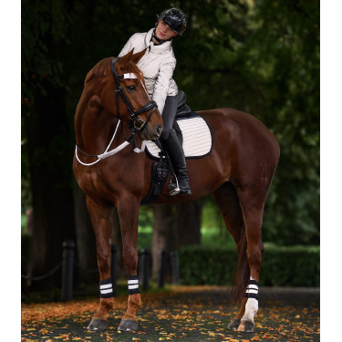 Reflecterend ELT-rijjack