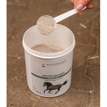 Complément gastrique cheval Waldhausen – Équitation