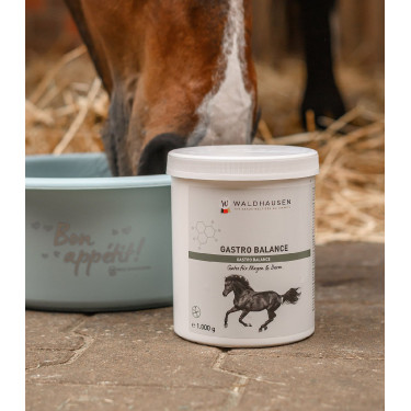 Complément gastrique cheval Waldhausen – Équitation