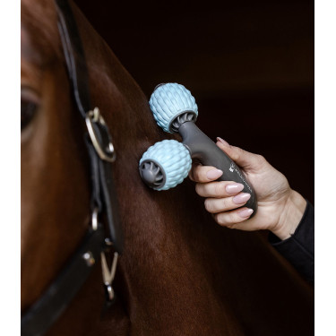 Rouleaux massage équin Waldhausen – Bien-être cheval