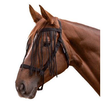 Licol d'équitation pré anti-mouches avec franges