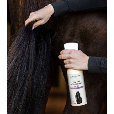 Spray équitation démêlant crinière et pelage