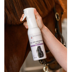 Paarden spray voor vacht en manen – Waldhausen Deluxe Paarden spray voor vacht en manen – Waldhausen Deluxe