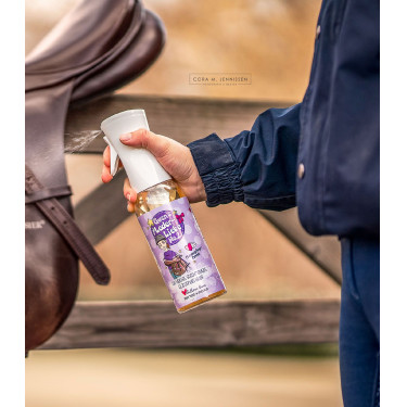 Nettoyant cuir équitation Soulhorse 500 ml Nettoyant cuir équitation Soulhorse 500 ml