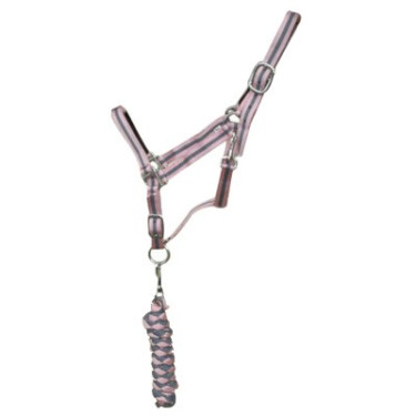 Synthetisch halster met voering + gevlochten Amerikaanse lijn T de T Grijs / roze Synthetisch halster met voering + gevlochten Amerikaanse lijn T de T Grijs / roze
