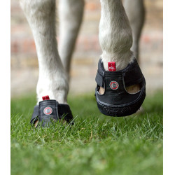 Trekpaardenschoenen Equine Fusion® Zwart
