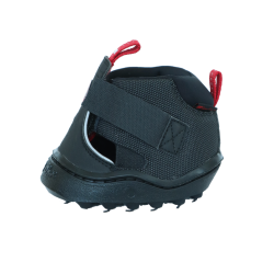 Trekpaardenschoenen Equine Fusion® Zwart