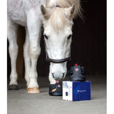 Trekpaardenschoenen Equine Fusion® Zwart