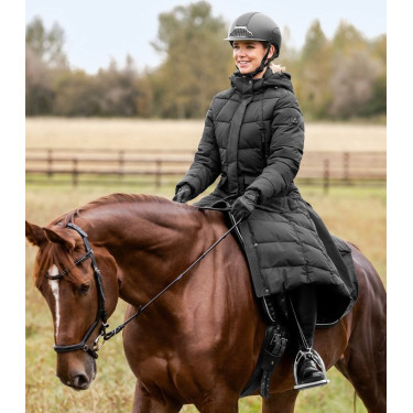 Casque équitation SWING H24 chrome sécurisé