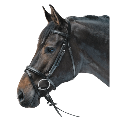 Bridon Star Lifestyle Zwart / zwart