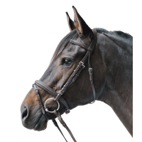 Bridon Star Lifestyle Marron
