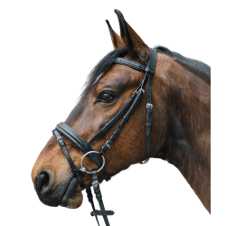 Bridon d'équitation chic avec strass colorés