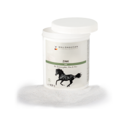 Zink supplement voor paarden – hoef- en huidondersteuning